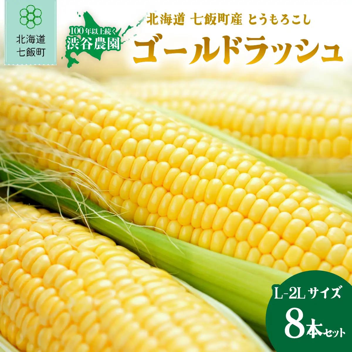 北海道 七飯町産 朝獲れ とうもろこし「ゴールドラッシュ」(L-2Lサイズ) 8本セット NABT006