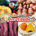 【ふるさと納税】秋の味覚（野菜・果物）厳選セット【10月より発送開始】田舎の頑固おやじが厳選！