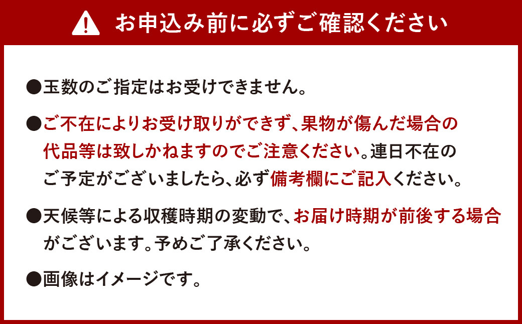 【先行予約】 熊本県産 新高梨 サイズミックス 約5kg 6玉～16玉 【2024年9月上旬より順次発送】_イメージ2