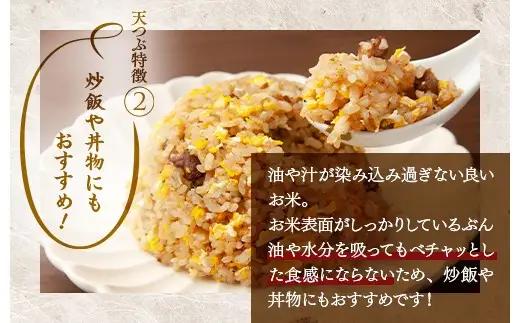 【令和8年産】【全4回定期便】米　国見町産　天のつぶ 5kg（5kg×1袋） 4回定期便 ※2026年10月～発送