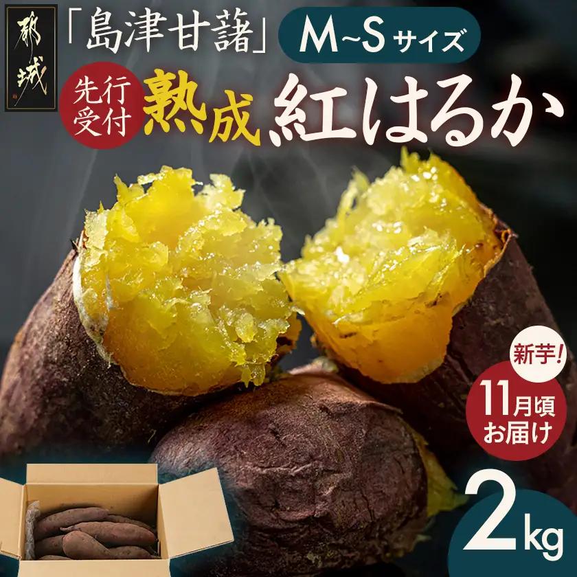 先行受付!【11月お届け】島津甘藷　熟成紅はるか 2kg(M～S)〔LB-A7-001-2kg-11〕_(都城市) さつまいも 幻のサツマイモ 幻の品種 紅はるか 2kg M～S べにはるか 生芋 ベジエイト 熟成 芋 定番 焼き芋 アウトドア