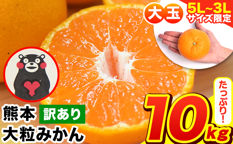 みかん ご家庭用 熊本 大粒みかん 約10kg (3L〜5Lサイズ)大玉 先行予約 熊本 訳あり 傷 たっぷり 熊本県産 期間限定 フルーツ 旬 柑橘 長洲町 大粒みかん《2026年1月中旬-2月末頃出荷》