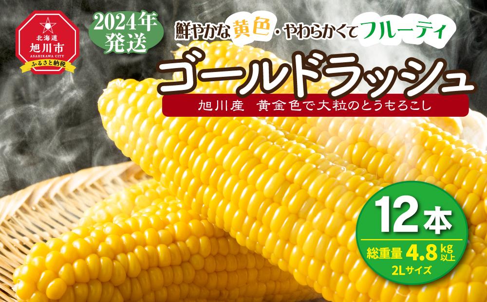 【先行予約】黄金色で大粒 ゴールドラッシュ 12本 4.8kg (2025年8月下旬より発送予定)_00408