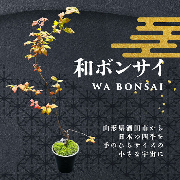 【ふるさと納税】和ボンサイ（WA BONSAI） 季節を感じる小さな宇宙 ※着日指定不可 盆栽 旬 春 夏 秋 冬 東北 山形県 酒田市 庄内 フローリスト