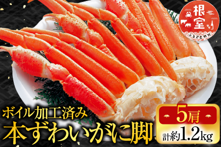 ボイル本ずわいがに脚5肩(計約1.2kg) A-14261