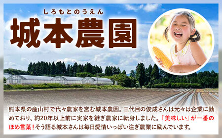 とうもろこし10本 城本農園