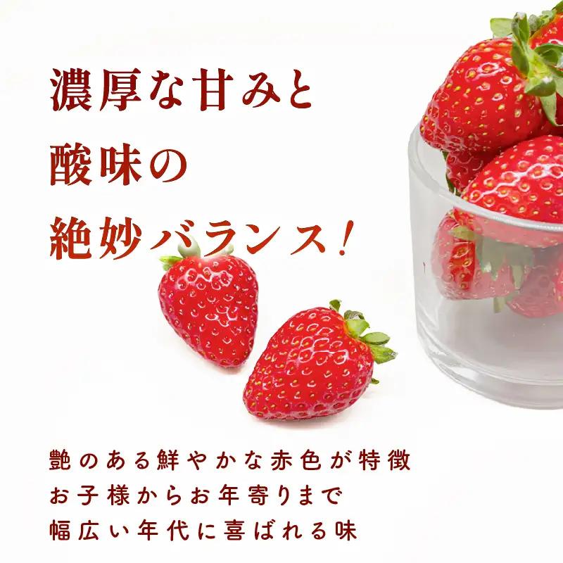 【2027年1月～発送】古都華 260g×2パック