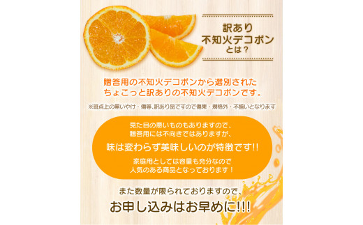 【数量限定】ちょこっと訳あり 不知火 デコポン 約5kg【ご家庭用】※2026年2月中旬～4月中旬に発送予定（お届け日指定不可）/ 不知火 デコポン 柑橘 みかん 果物 くだもの フルーツ みかん 有