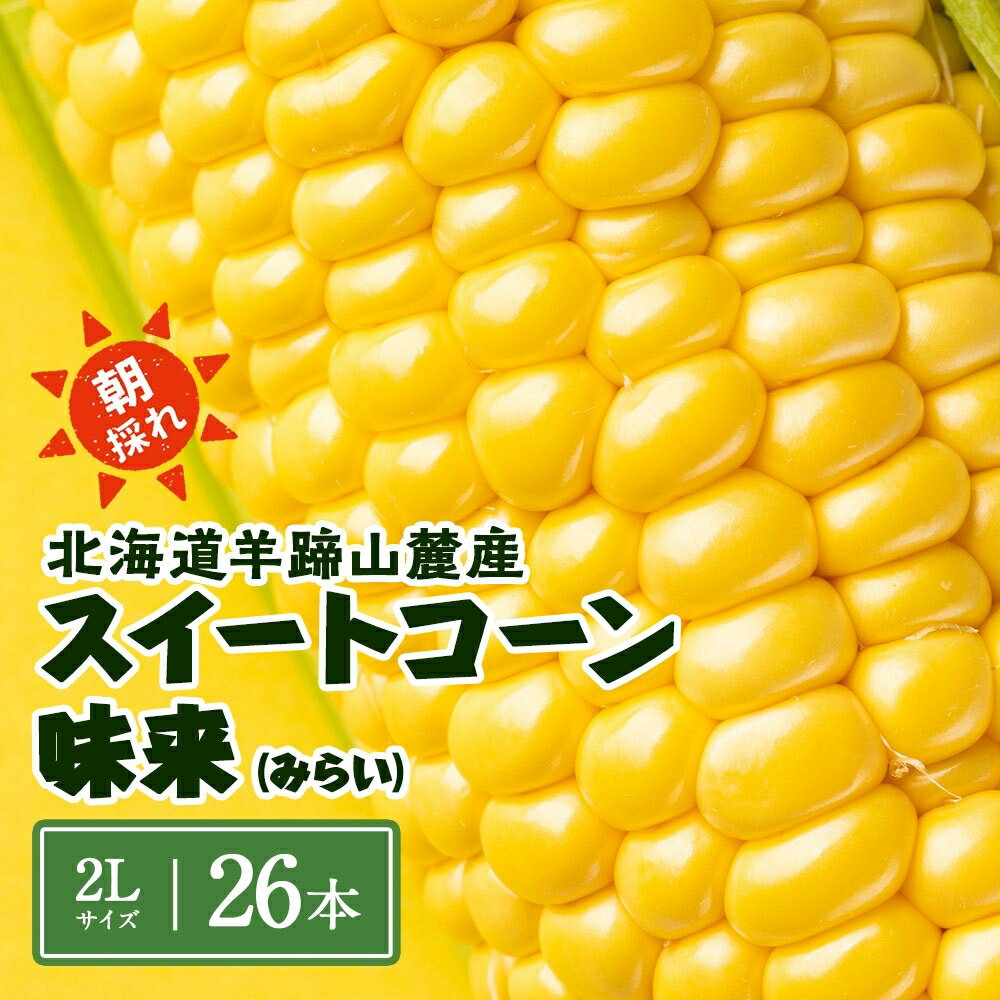 【ふるさと納税】北海道 スイートコーン 味来 約10kg 2Lサイズ 計26本 とうもろこし とうきび コーン 新鮮 採れたて 産直 JAようてい 送料無料 北海道 倶知安町 10キロ 　お届け：2025年8月下旬～9月上旬頃まで