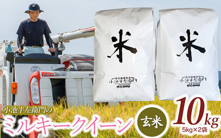 数量限定 【令和7年産先行予約】 山形県庄内産 小池半左衛門のお米 ミルキークイーン 玄米 10kg (5kg×2袋)