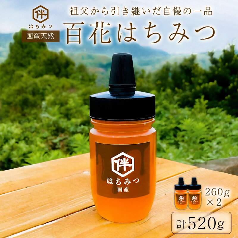 【ふるさと納税】【国産・100％天然】百花はちみつ2本セット（260g×2本・とんがりポリ容器）祖父から引き継いだ自慢の一品 千葉県 南房総市 お取り寄せグルメ 自然 パン ヨーグルト コーヒー 紅茶 ビタミン ミネラル 酵素 栄養素 送料無料