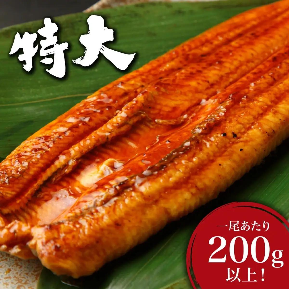 うなぎ 蒲焼き 白焼き 食べ比べセット 400g (200g×各1尾) 