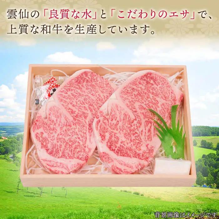 長崎和牛 サーロインステーキ 約1.0kg【株式会社 OGAWA】[QBI004] サーロインステーキ 九州 長崎 佐々町 ふるさと納税 おすすめ