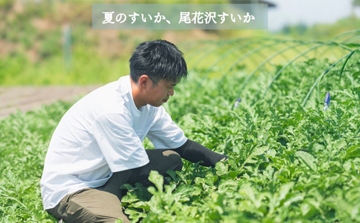 尾花沢プレミアすいか 羅皇ザ・スイート 大玉 4-5Lサイズ(約9~10kg) 1玉 2026年産 令和8年産 nf-su45r1