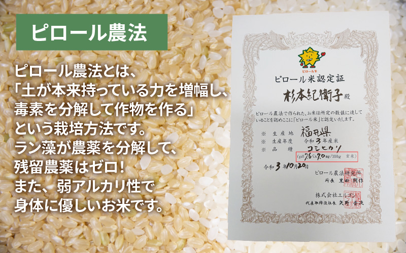 【新米・先行予約】【令和4年産】ピロール農法 コシヒカリ 白米 5kg（5kg × 1袋）真空パック【10月以降順次発送】