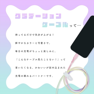グラデーションケーブル USB-A to USB-C iPhone16e 16 15 Android各種 急速充電 データ転送対応 ケーブルバンド付 1m 2年保証 (MOT-SCBACG100-FN