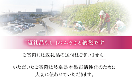 《返礼品なし》 ～ 岐阜県本巣市への寄附 応援寄附金 淡墨桜  (返礼品はありません) [0960]  mt312