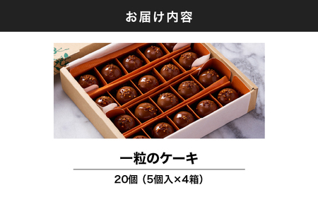 1981 一粒のケーキ20個入 KN035-004-02 スイーツ お菓子 洋菓子 人気 詰め合わせ 個包装  大隅半島農林文化村 ふるさと納税 鹿児島 鹿屋市 おすすめ ランキング プレゼント ギフ