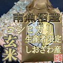 【ふるさと納税】米 定期便 玄米 コシヒカリ 南魚沼しおざわ産 36kg ( 4kg × 9ヶ月 ) | お米 こめ 食品 コシヒカリ 人気 おすすめ 送料無料 魚沼 南魚沼 南魚沼市 新潟県 玄米 産直 産地直送 お取り寄せ お楽しみ