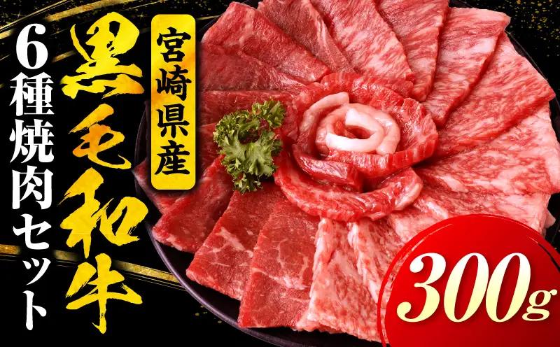 宮崎県産黒毛和牛(経産)6種焼肉セット 300g_b0749_my_x2