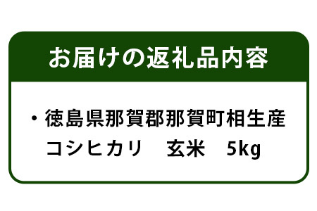 那賀町相生産 コシヒカリ 玄米 5kg【徳島 那賀 国産 徳島県産 こめ おこめ 米 お米 ごはん ご飯 げんまい 玄米 こしひかり コシヒカリ 5キロ 5kg 和食 おにぎり お弁当 食べて応援 ギ