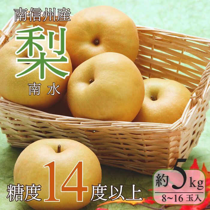 ＜先行予約＞梨 南水[8〜16玉]約5kg※2025年発送　先行予約分※