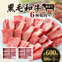 【ふるさと納税】黒毛和牛 経産牛 6種 焼肉 セット 300g×2 計600g 詰め合わせ 食べ比べ 味比べ 牛肉 肉 お肉 精肉 和牛 国産牛 国産 宮崎県産 焼肉セット BBQ アウトドア キャンプ グルメ お取り寄せ お取り寄せグルメ ご褒美 贈り物 贈答 自分用 宮崎県 宮崎市 送料無料