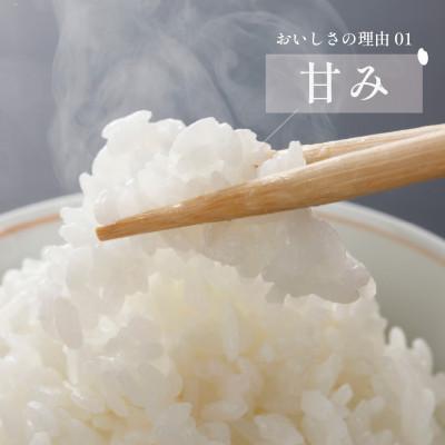 ふるさと納税 大町町 【先行予約】令和7年産 夢しずく 5kg(大町町)【29kg-0007】 |  | 02