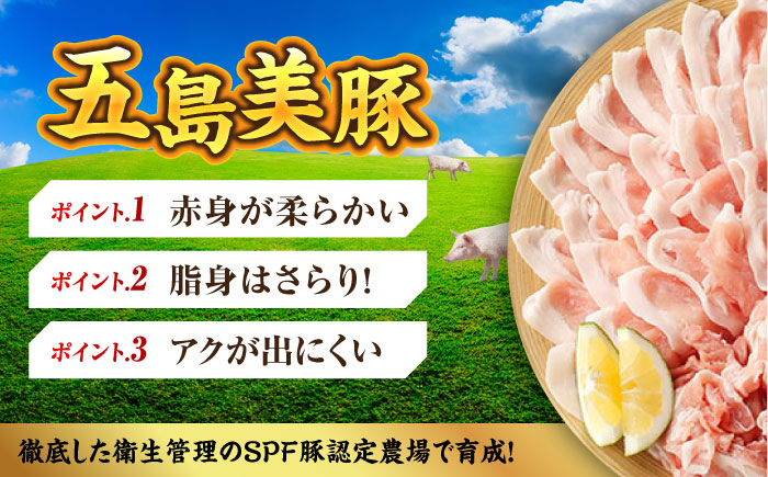 【全6回定期便】【ふわっとまろやかな口どけ。五島の自然の恩恵をうけた豚肉！】五島美豚 薄切りセット （ロース・バラ 1kg×6回 計6kg）【ごとう農業協同組合】 [PAF012]