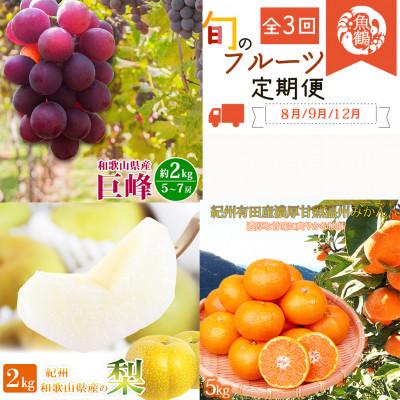 ふるさと納税 有田川町 【発送月固定定期便】紀州和歌山産旬のフルーツセットA(巨峰・梨・みかん)全3回