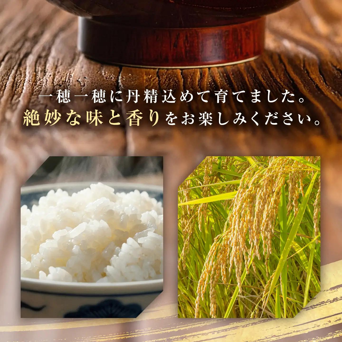 【特Aランク】令和7年北海道産ゆめぴりか１０ｋｇ（５ｋｇ×２袋）｜ ゆめぴりか