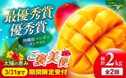 マンゴー【全2回定期便】太陽の恵み マンゴーご褒美便 (総計2kg)  仲村農園 [BCZZ051] 2026 定期便 全2回 アップルマンゴー あっぷるまんごー 果実 訳アリ わけあり ワケあり ワケアリ マンゴー フルーツ ふるーつ まんごー くだもの 果物 mango 沖縄県産 芒果 家庭用 南国 国産 デザート 産地直送 直送 季節限定 スイーツ 国産 お取り寄せ 送料無料 沖縄 沖縄市