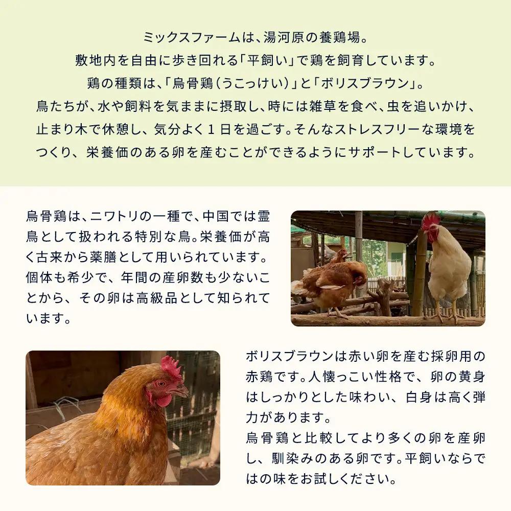 平飼い烏骨鶏のたまご12個 | 湯河原町 ミックスファーム 烏骨鶏 こだわり飼育 朝食
