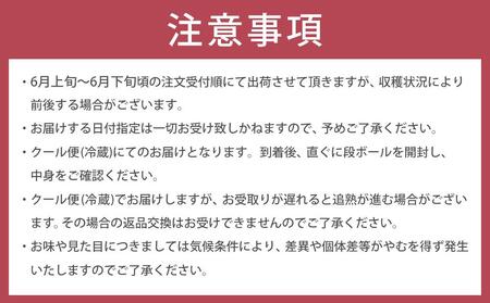 【2026年6月上旬以降発送】紀州南高梅(完熟梅) 2kg〈大粒/3Lサイズ〉