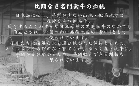 肉 神戸牛 切り落とし 500g[ 神戸ビーフ お肉 炒めもの 煮物 肉じゃが 切り落し ]