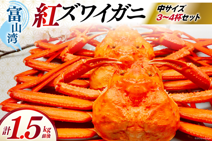 
            【期間限定発送】 【漁師厳選】 紅ズワイガニ ボイル済 中サイズ3～4杯 計1.5kg前後 [聖徳丸 富山県 朝日町 34310513] 海鮮 魚介類 カニ ベニズワイガニ 紅ズワイ ベニズワイ 紅ズワイ蟹 ボイル 冷蔵 ご褒美
          