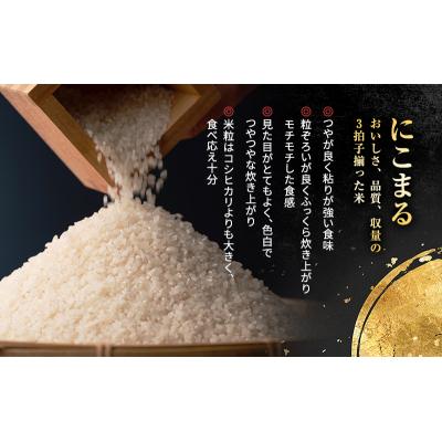 ふるさと納税 加西市 令和7年産 特別栽培米 にこまる 白米10kg [No5698-1309] |  | 03
