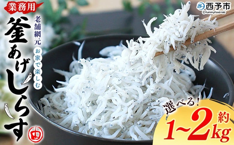 
                  【発送月が選べる】＜老舗網元 お家で楽しむ 業務用 釜あげしらす（合計約1kg/2kg）＞釜揚げ しらす シラス ちりめん じゃこ 海鮮 海産物 丼 おにぎり 具材 ご飯 おつまみ おやつ 小魚 乾物 国産 マルヨシ水産 特産品 愛媛県 西予市【冷凍】
                