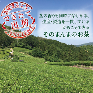 緑茶 そのまんま茶 400g お茶 深蒸し茶 茎茶 粉茶 静岡茶