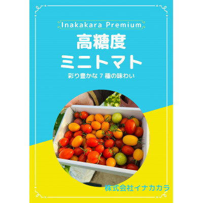 【ふるさと納税】【朝穫り】イナカカラミニトマト【高糖度セレクト】【配送不可地域：離島・沖縄県】【1706756】