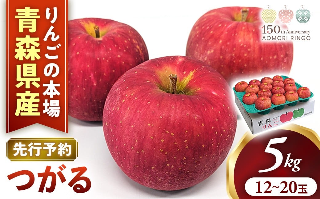 
                  【2026年産・先行予約】りんご【つがる】約5kg（12～20玉）★2026年9月上旬～9月下旬頃まで発送予定★ りんご 林檎 リンゴ つがる 国産 フルーツ 果物 贈答 土産 青森県 三戸町 AK-16-007
                