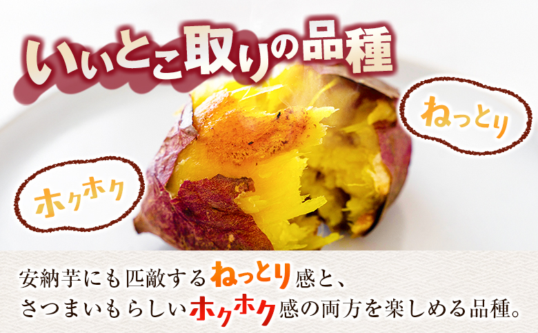 長期熟成 紅はるか 計1kg 宮崎県都城市産 さつまいも サツマイモ 計1kg