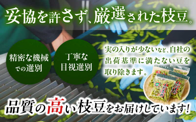 先行予約≪期間限定≫枝豆(茶豆風味・茶豆)計3kg 野菜 旬 国産_T003-0065