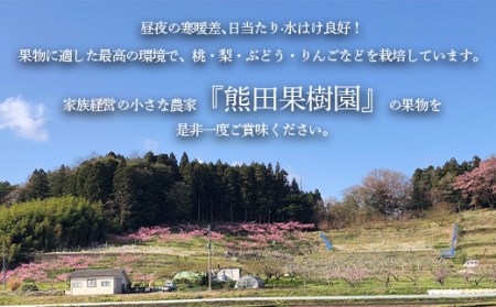 ＜先行予約＞ジューシーな桃 あかつき 約3kg（8～10玉） F21R-878