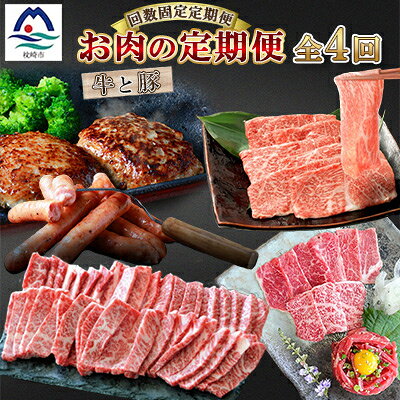 【ふるさと納税】【毎月定期便】厳選!お肉の定期便全4回 FF903TD【配送不可地域：離島】【4014832】