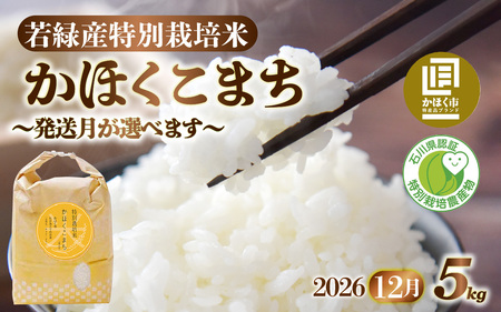 【令和8年産】 かほくこまち 5kg 【2026年12月配送】 | お米 米 かほくこまち