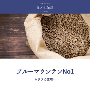 【ギフトBOX】自家焙煎★煎りたて至高のブルーマウンテンNo1 ギフト（豆のまま・300ｇ）《森ノ本珈琲》（22-54-1）