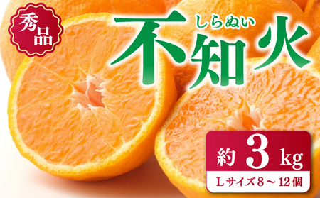 【不知火】 先行予約 不知火 しらぬい 3kg みかん 蜜柑