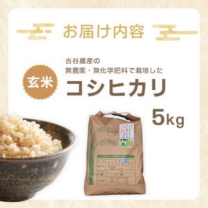 【令和7年産米 数量限定】古谷農産の無農薬・無化学肥料で栽培したコシヒカリ（玄米5キロ） ｜米 コメ  5kgコシヒカリ こしひかり 農家直送 産地直送 産直