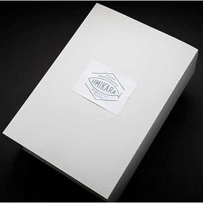 ふるさと納税 高浜町 若狭の灰干しセット |  | 02